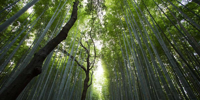 沈阳二手玩具回收:从闲置积木到环保拼图,解锁婴幼儿用品与模型玩具的绿色新生