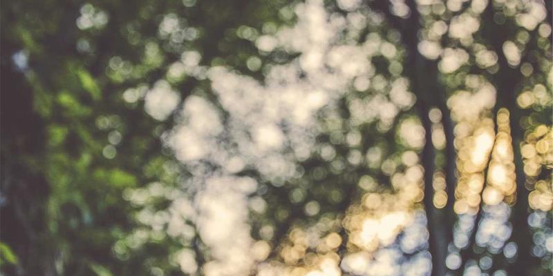 沈阳商场儿童乐园玩具配套全解析：从大型设备到互动玩具的盈利密码