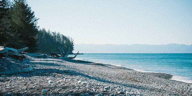 沈阳年度玩具盛会全攻略：从动漫展新品到批发市场动态，一文掌握玩具潮流与商机