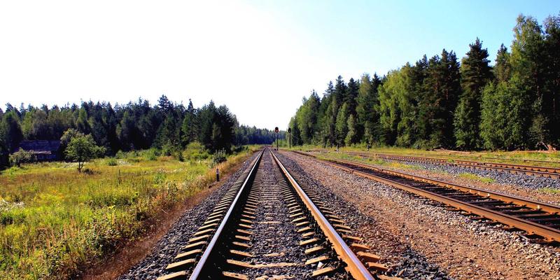 沈阳早教新趋势:模型与毛绒玩具如何通过批发市场赋能儿童早期发展