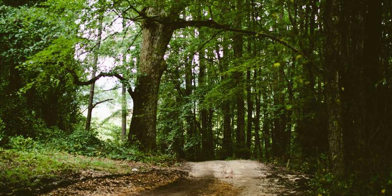 沈阳玩具产业知识产权护城河：从专利申请到侵权防范的实战攻略