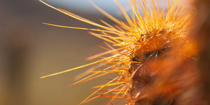 沈阳玩具产业采购全攻略:揭秘塑料、布料、电子元件本地优质供应商地图