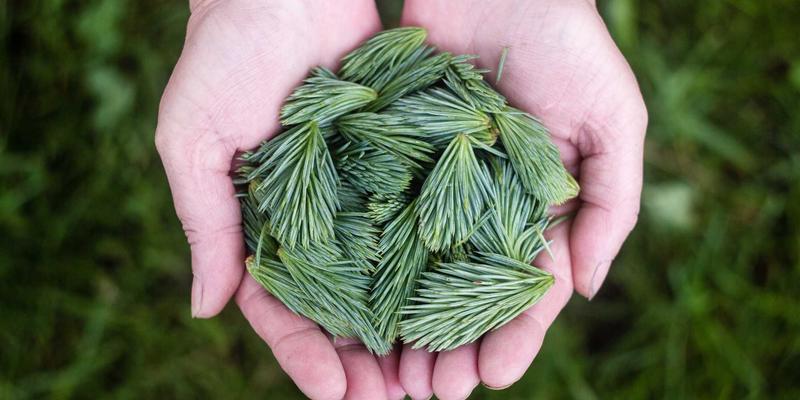 沈阳玩具反斗城终极探店指南:解锁限定潮玩、益智宝藏与独家会员优惠